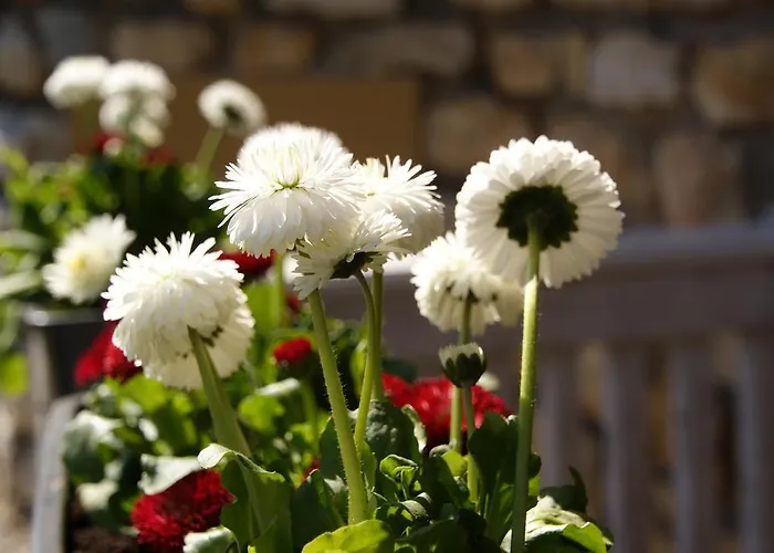 Pensión Gaestehaus Gertrude